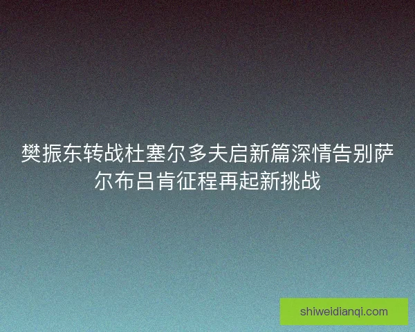 樊振东转战杜塞尔多夫启新篇深情告别萨尔布吕肯征程再起新挑战